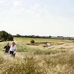 Mollegarden With Yoga, Panorama-sauna & Coworking Space