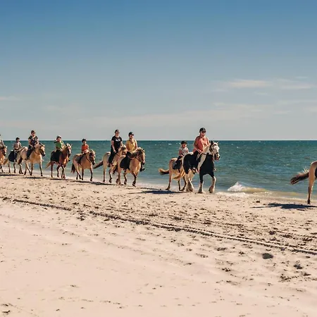 Aparthotel Mollegarden With Yoga, Panorama-sauna & Coworking Space