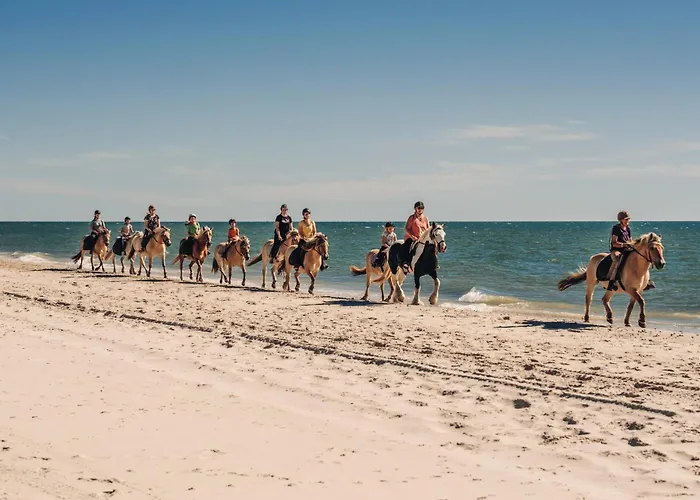 Lejlighedshotel Mollegarden With Yoga, Panorama-sauna & Coworking Space